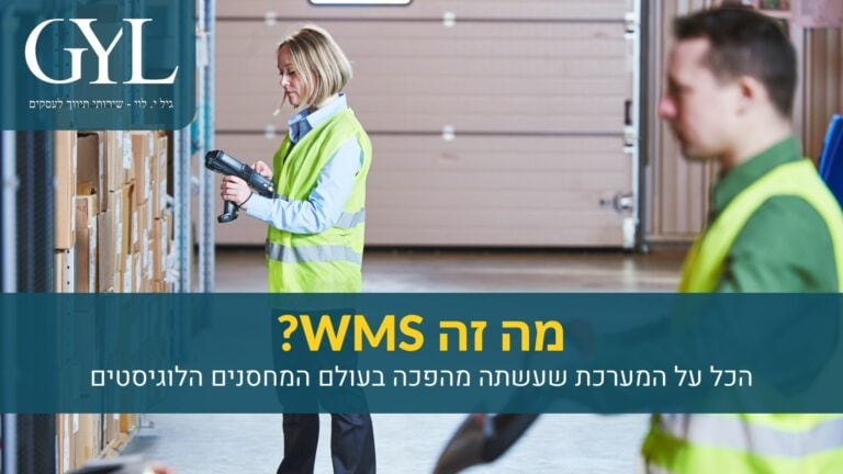 מה זה WMS